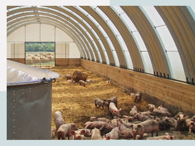 Строительство свинарников в Канаше