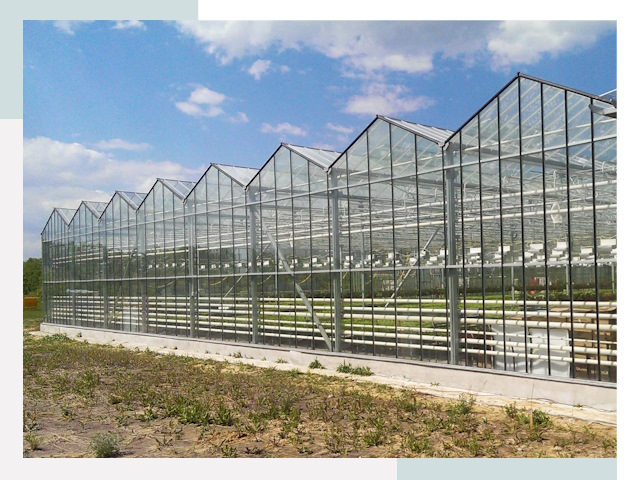 Строительство теплиц в Канаш от 616 руб. за м²